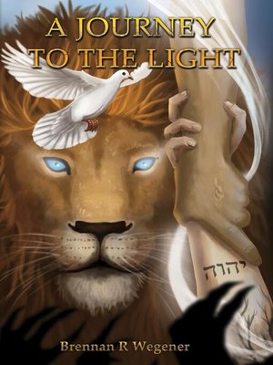 cover image of A Journey to the Light